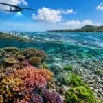 Umjetna inteligencija mjeri štetu na koraljima s preciznošću od pola centimetra